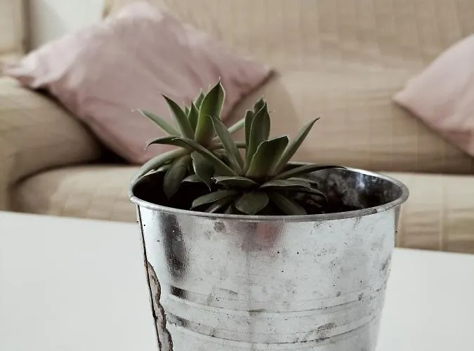 Conil Gades Noemada B Conil De La Frontera