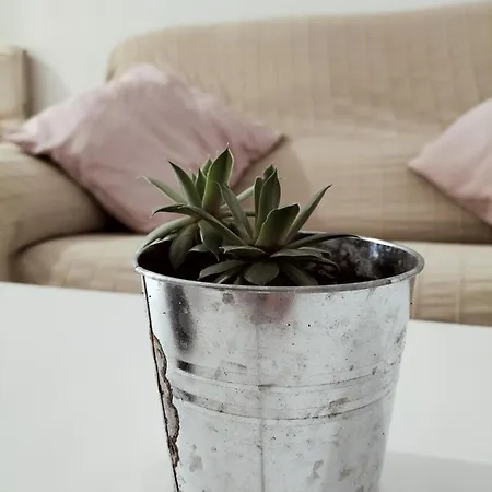 Conil Gades Noemada B Conil De La Frontera